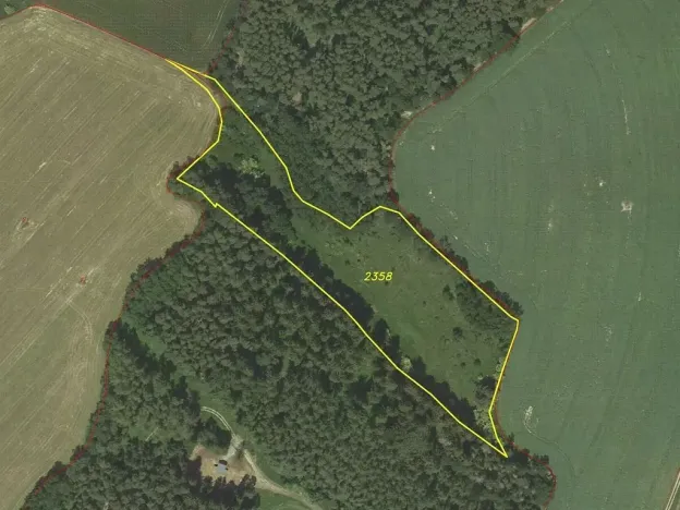 Dražba louky, Křenov, 16180 m2
