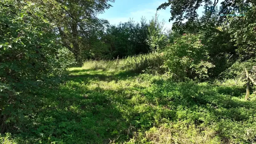 Prodej pozemku pro bydlení, Ledce, 9180 m2
