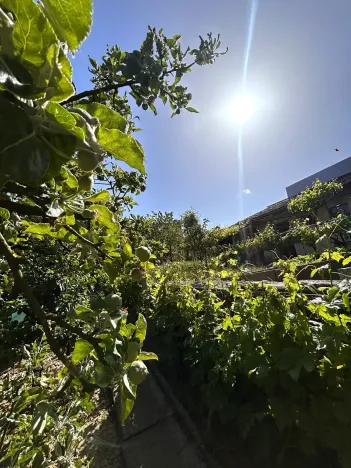 Prodej rodinného domu, Polešovice, 204 m2