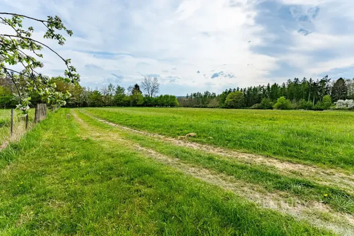 Prodej rodinného domu, Loket, 80 m2