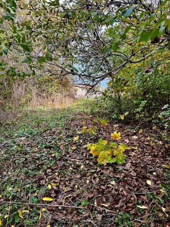 Prodej rodinného domu, Praha - Koloděje, Solnická, 300 m2