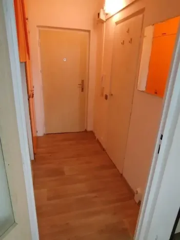 Pronájem bytu 1+kk, Brno, Halasovo náměstí, 22 m2