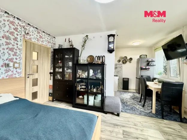 Prodej bytu 1+kk, Most, Brněnská, 34 m2