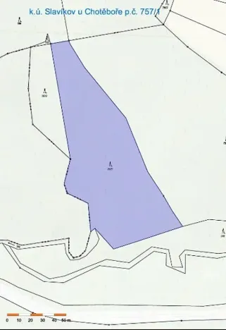 Prodej lesa, Slavíkov, 8906 m2