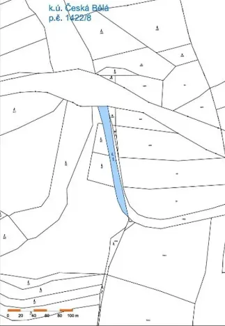 Prodej lesa, Česká Bělá, 1714 m2
