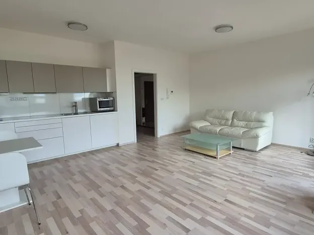 Pronájem bytu 1+kk, Brno, Kigginsova, 42 m2