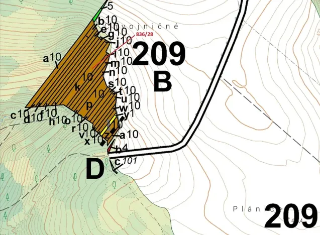 Dražba lesa, Ketkovice, 1686 m2