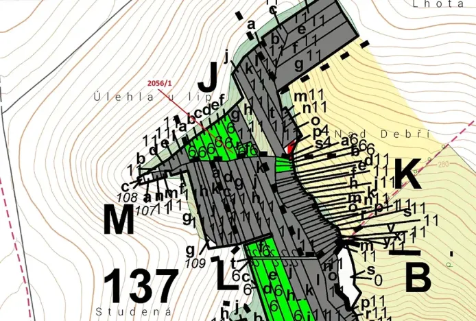 Dražba lesa, Pavlovice u Přerova, 168 m2