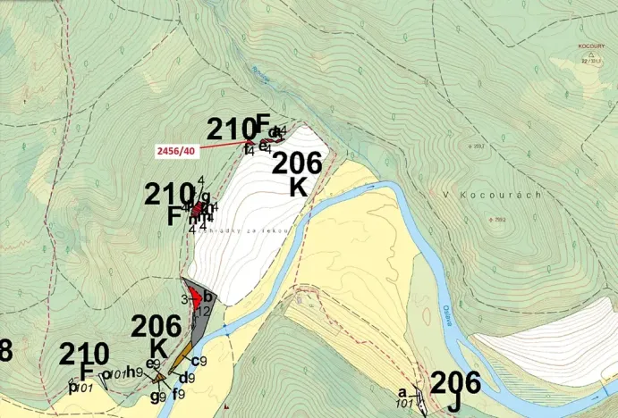 Dražba lesa, Oslavany, 80 m2