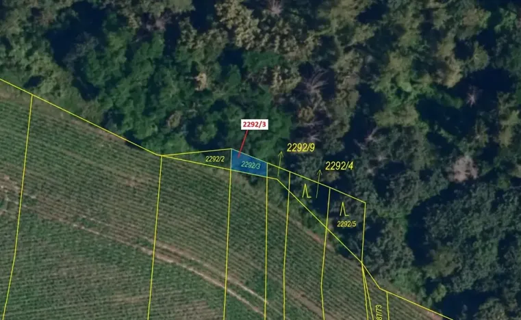 Dražba lesa, Oslavany, 26 m2