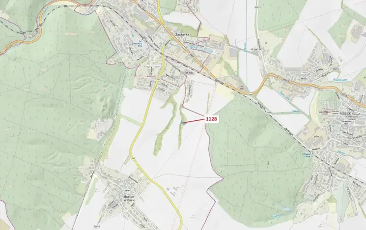Dražba lesa, Babice u Rosic, 1191 m2