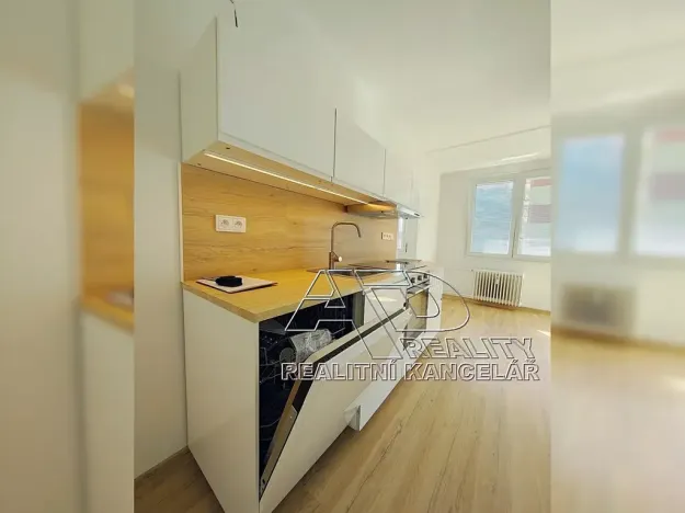 Pronájem bytu 1+1, České Budějovice, Budivojova, 49 m2