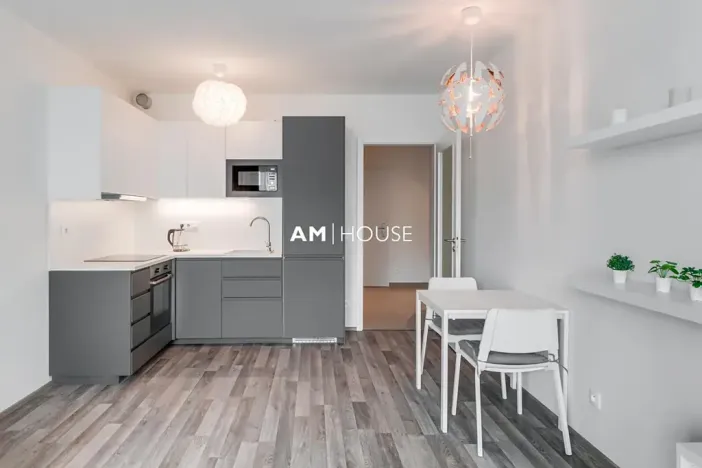 Pronájem bytu 1+kk, Praha - Vysočany, Vysočanská, 32 m2