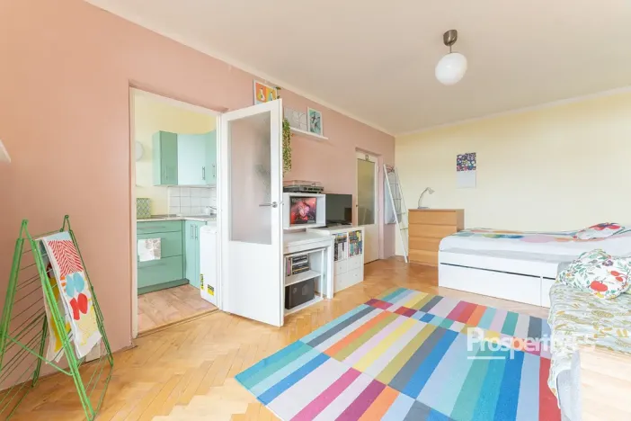 Prodej bytu 1+1, Brno - Lesná, Halasovo náměstí, 30 m2
