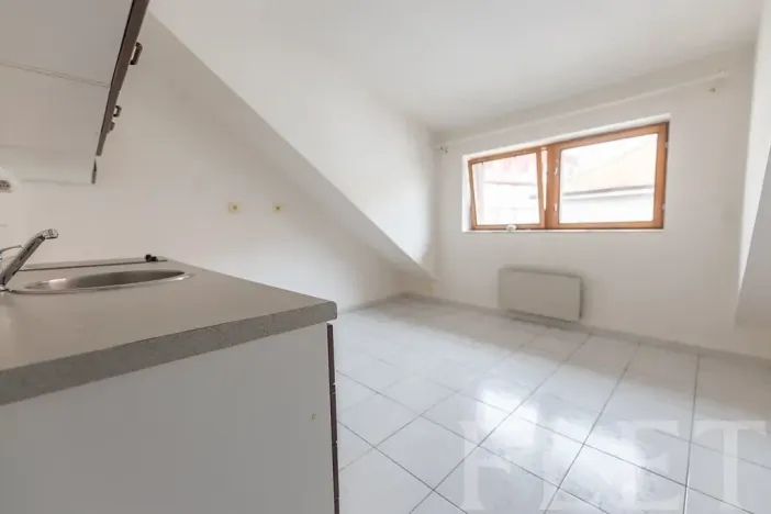 Pronájem bytu 1+1, Praha - Vršovice, Tolstého, 42 m2