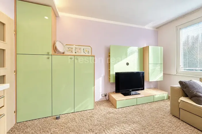 Prodej bytu 1+kk, Písek, 17. listopadu, 19 m2