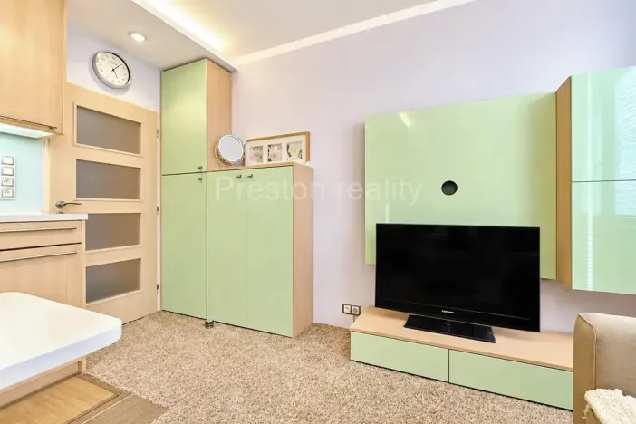 Prodej bytu 1+kk, Písek, 17. listopadu, 19 m2