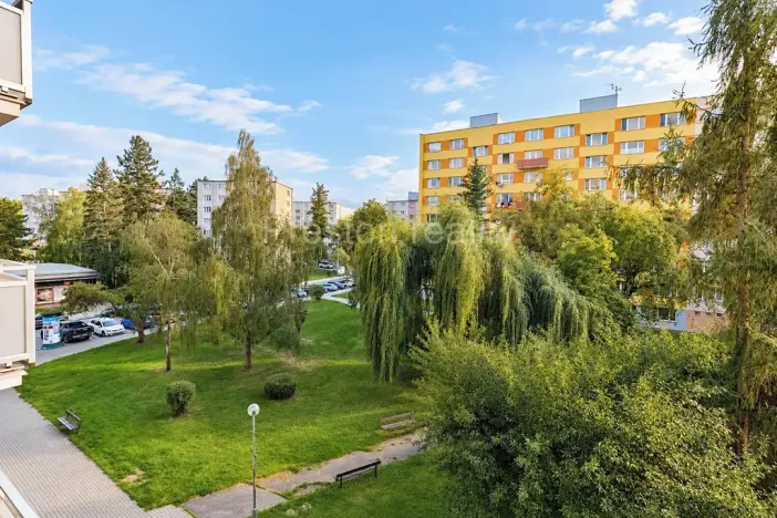 Prodej bytu 1+kk, Písek, 17. listopadu, 19 m2