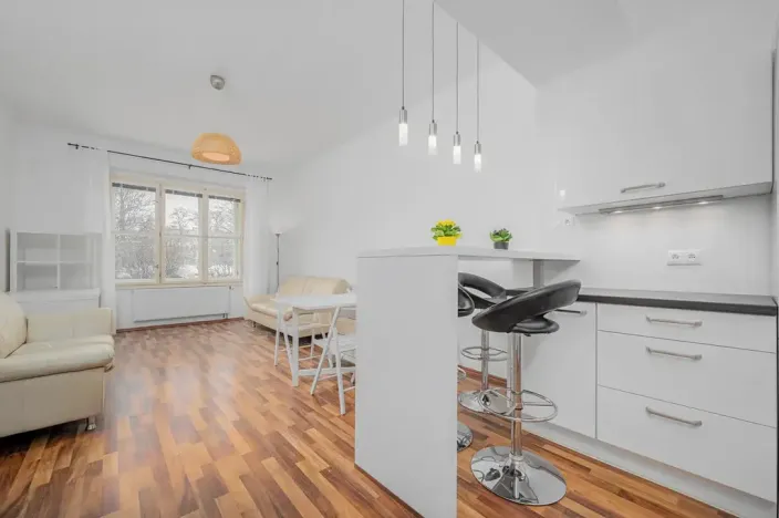 Pronájem bytu 2+kk, Praha - Bubeneč, Rooseveltova, 58 m2