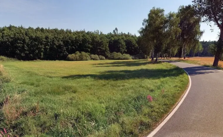 Prodej pole, Vodňany - Újezd, 6021 m2
