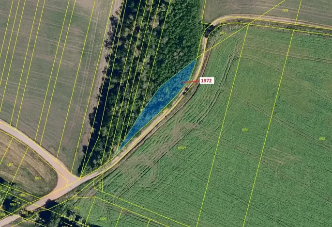 Dražba lesa, Čejkovice, 591 m2