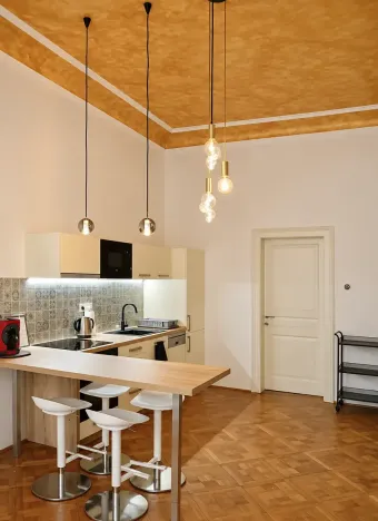 Pronájem bytu 2+kk, Praha - Vinohrady, Mánesova, 55 m2
