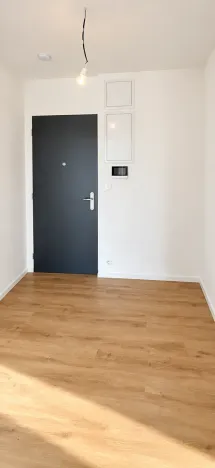 Pronájem bytu 2+kk, Praha, Polaneckého, 52 m2