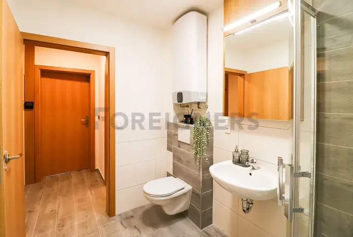 Pronájem bytu 1+kk, Brno, Cyrilská, 40 m2