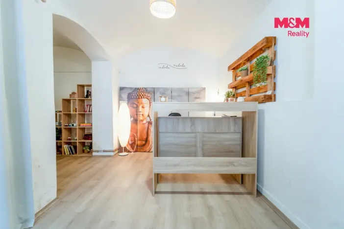 Pronájem obchodního prostoru, Plzeň - Východní Předměstí, Radyňská, 109 m2
