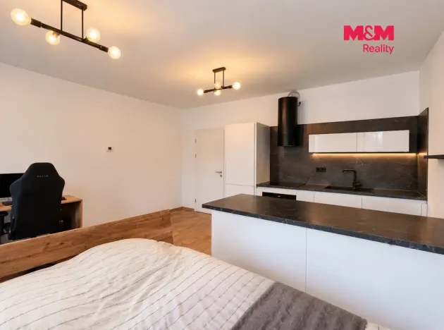 Prodej bytu 1+kk, Ostrava - Slezská Ostrava, Na Baranovci, 36 m2