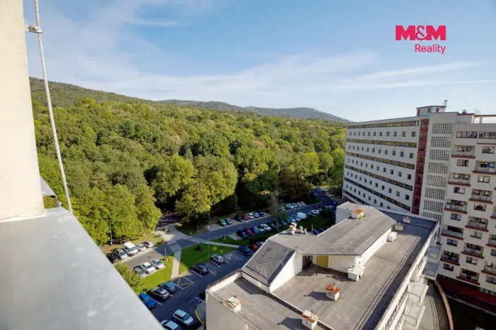 Prodej bytu 1+kk, Litvínov - Horní Litvínov, Koldům, 26 m2