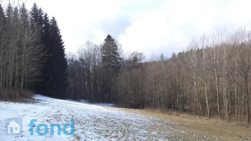 Prodej pozemku, Kájov - Křenov, 10344 m2