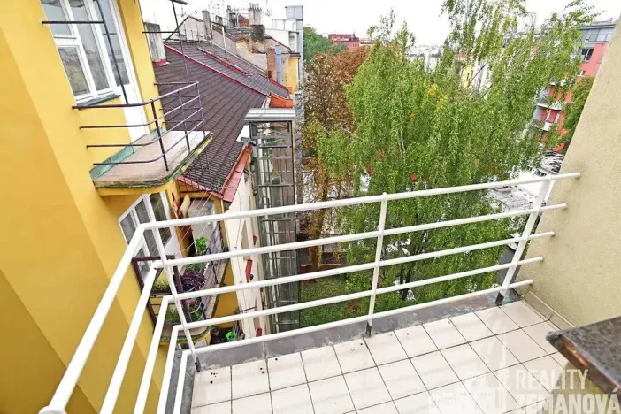 Pronájem bytu 1+kk, Praha - Vinohrady, Řipská, 30 m2
