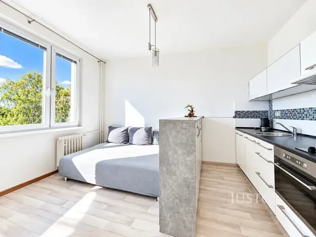 Prodej bytu 1+kk, Ústí nad Labem, SNP, 20 m2