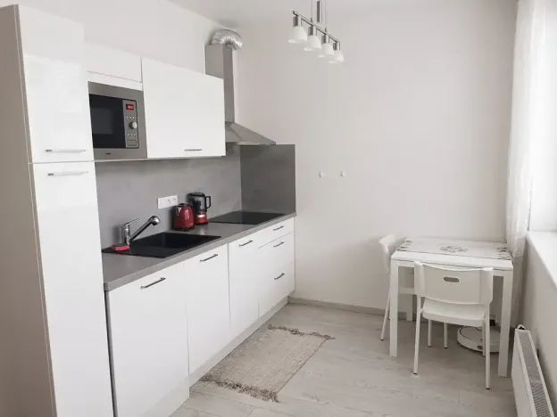 Pronájem bytu 1+kk, Brno, Nad Přehradou, 24 m2
