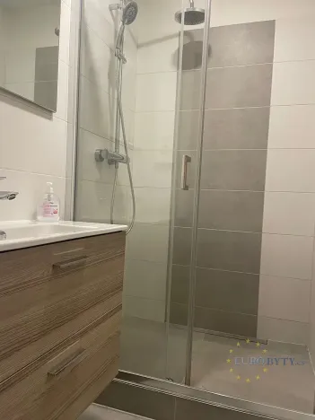 Pronájem bytu 1+kk, Praha - Chodov, Nad Opatovem, 31 m2