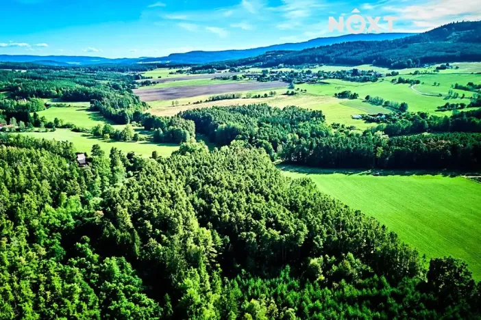 Prodej lesa, Lipí, 13404 m2