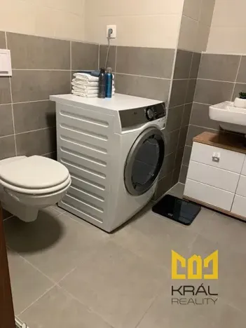 Pronájem bytu 1+kk, Brandýs nad Labem-Stará Boleslav, Fakultní, 41 m2