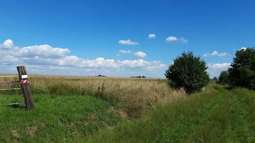 Prodej pozemku pro bydlení, Líšnice, 5077 m2