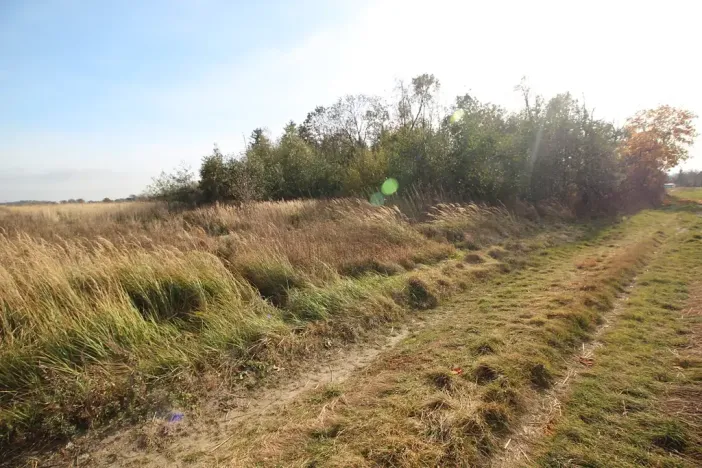 Prodej pozemku, Dolní Břežany, Keltská, 3508 m2