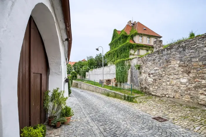 Prodej ubytování, Český Krumlov, Horská, 469 m2