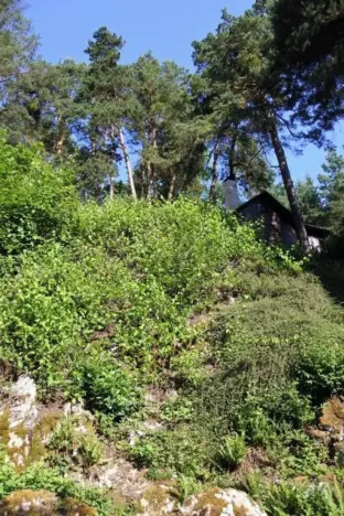 Prodej lesa, Strunkovice nad Volyňkou, 2510 m2