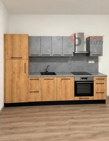 Pronájem bytu 2+kk, Břeclav, Sady 28. října, 45 m2
