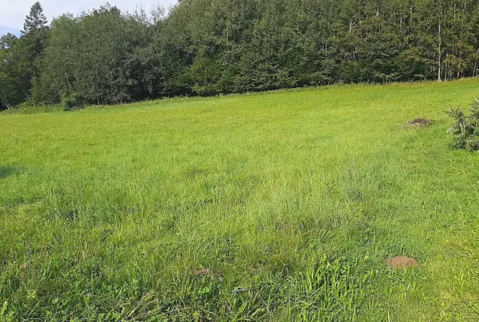 Prodej pozemku pro bydlení, Hrádek, 7770 m2