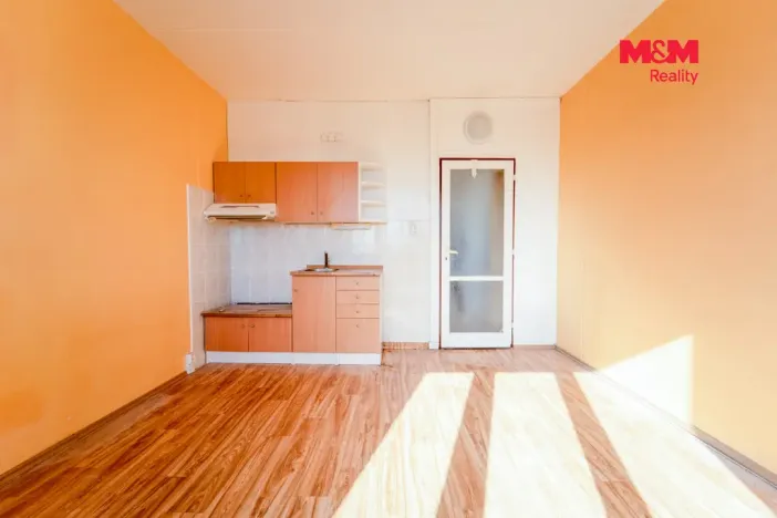Prodej bytu 1+kk, Plzeň - Lobzy, Pod Vrchem, 20 m2
