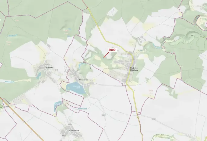 Dražba lesa, Hluboké Mašůvky, 504 m2