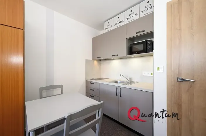 Pronájem bytu 1+kk, Praha - Braník, Údolní, 27 m2
