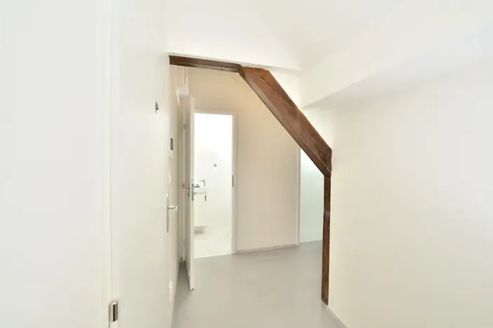 Pronájem bytu 1+kk, Praha - Nusle, Oldřichova, 29 m2
