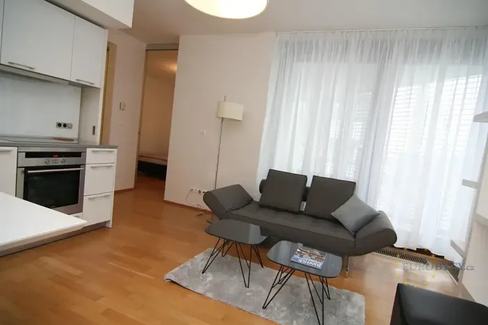Pronájem bytu 2+kk, Praha - Žižkov, Pitterova, 70 m2