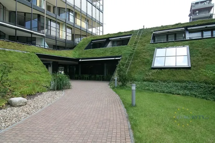 Pronájem bytu 2+kk, Praha - Žižkov, Pitterova, 70 m2